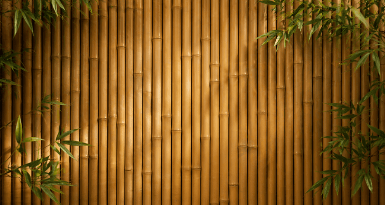 Selbstverteidigung Mannheim,Wing Tsun Mannheim,Selbstverteidigung Frauen,Wing Tsun Käfertal,Wing Tsun Viernheim